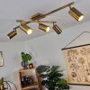 ZUOZ Ceiling Light antique brass, 5-light sources