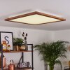 RAIMEA Ceiling Light LED white, 1-light source