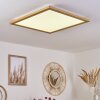 RAIMEA Ceiling Light LED white, 1-light source