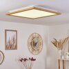 RAIMEA Ceiling Light LED white, 1-light source