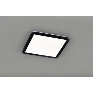 Reality CAMILLUS Ceiling Light LED black, 1-light source