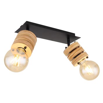 Globo ANGELINE Ceiling Light black, 2-light sources