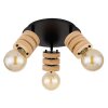 Globo ANGELINE Ceiling Light black, 3-light sources