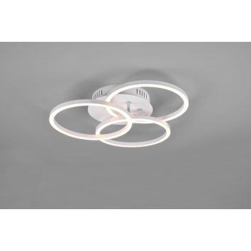 Reality CIRCLE Ceiling Light LED white, 1-light source, Remote control