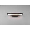 Trio-Leuchten GIANNI Wall Light LED black, 1-light source