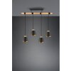 Trio-Leuchten HARRIS Pendant Light black, 4-light sources