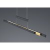Trio-Leuchten TRAJAN Pendant Light LED black, 1-light source