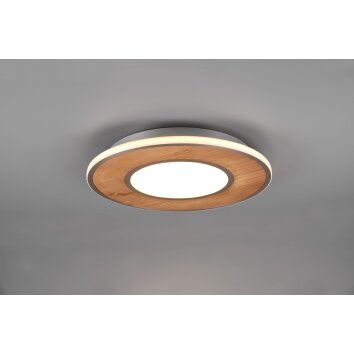 Trio-Leuchten DEACON Ceiling Light LED brown, 1-light source