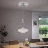 Paul-Neuhaus Q-ETIENNE Pendant Light LED brushed steel, 2-light sources, Remote control