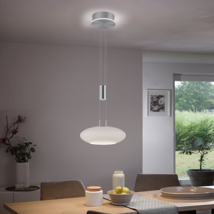 Paul-Neuhaus Q-ETIENNE Pendant Light LED brushed steel, 2-light sources, Remote control
