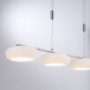 Paul-Neuhaus Q-ETIENNE Pendant Light LED brushed steel, 4-light sources, Remote control