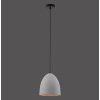 Paul-Neuhaus ETON Pendant Light black, 1-light source