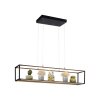 Paul-Neuhaus CONTURA Pendant Light LED black, 4-light sources