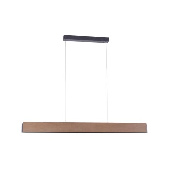 Paul-Neuhaus PALMA Pendant Light LED grey, Light wood, 2-light sources, Remote control