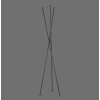 Paul-Neuhaus Q-PETER Floor Lamp LED anthracite, 3-light sources, Remote control