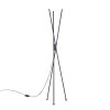 Paul-Neuhaus Q-PETER Floor Lamp LED anthracite, 3-light sources, Remote control