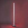 Paul-Neuhaus Q-ADRIANA Floor Lamp LED aluminium, 2-light sources, Remote control