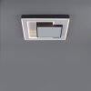 Paul-Neuhaus Q-ALTA Ceiling Light LED black, 1-light source, Remote control