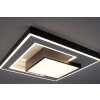 Paul-Neuhaus Q-ALTA Ceiling Light LED black, 1-light source, Remote control