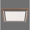 Paul-Neuhaus PALMA Ceiling Light LED Ecru, black, 2-light sources, Remote control