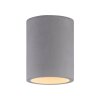Paul-Neuhaus ETON Ceiling Light grey, black, 1-light source