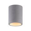 Paul-Neuhaus ETON Ceiling Light grey, black, 1-light source