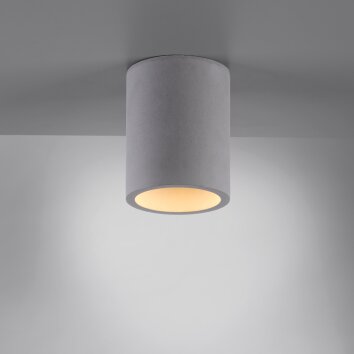 Paul-Neuhaus ETON Ceiling Light grey, black, 1-light source