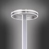 Paul-Neuhaus Q-VITO Floor Lamp LED brushed steel, 3-light sources, Remote control