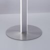 Paul-Neuhaus Q-VITO Floor Lamp LED brushed steel, 3-light sources, Remote control