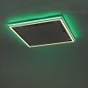 Paul-Neuhaus HELIX Ceiling Light LED aluminium, 2-light sources, Remote control