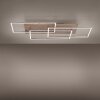 Paul-Neuhaus PALMA Ceiling Light LED Ecru, brushed steel, 1-light source, Remote control