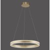 Paul-Neuhaus Q-VITO Pendant Light LED brass, Remote control
