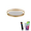 Paul-Neuhaus Q-VITO Ceiling Light LED brass, 1-light source, Remote control