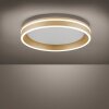 Paul-Neuhaus Q-VITO Ceiling Light LED brass, 1-light source, Remote control