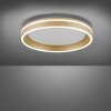 Paul-Neuhaus Q-VITO Ceiling Light LED brass, 1-light source, Remote control