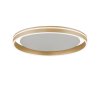 Paul-Neuhaus Q-VITO Ceiling Light LED brass, 1-light source, Remote control