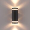 Paul-Neuhaus KARL Outdoor Wall Light anthracite, 2-light sources