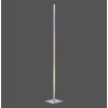 Leuchten-Direkt HENRY Floor Lamp LED brushed steel, 1-light source, Remote control, Colour changer