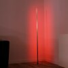 Leuchten-Direkt HENRY Floor Lamp LED brushed steel, 1-light source, Remote control, Colour changer
