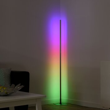 Leuchten-Direkt HENRY Floor Lamp LED brushed steel, 1-light source, Remote control, Colour changer