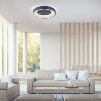 Leuchten-Direkt LOLASMART-ANIKA Ceiling Light LED anthracite, 1-light source, Remote control, Colour changer