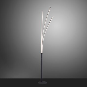 Leuchten-Direkt MAJA Floor Lamp LED black, 1-light source