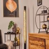 RODECHE Floor Lamp LED brass, black, 1-light source