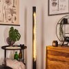 RODECHE Floor Lamp LED matt nickel, black, 1-light source