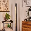 RODECHE Floor Lamp LED matt nickel, black, 1-light source