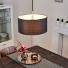 TISE Pendant Light silver, 1-light source