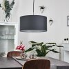TISE Pendant Light silver, 1-light source