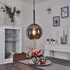 LOIULO Pendant Light matt nickel, silver, 1-light source