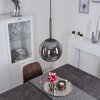 LOIULO Pendant Light matt nickel, silver, 1-light source
