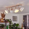 ORNY Ceiling Light Ecru, 4-light sources
